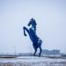 Blucifer Turns 17: Denver’s Favorite Nightmare Horse Still Haunting Travelers